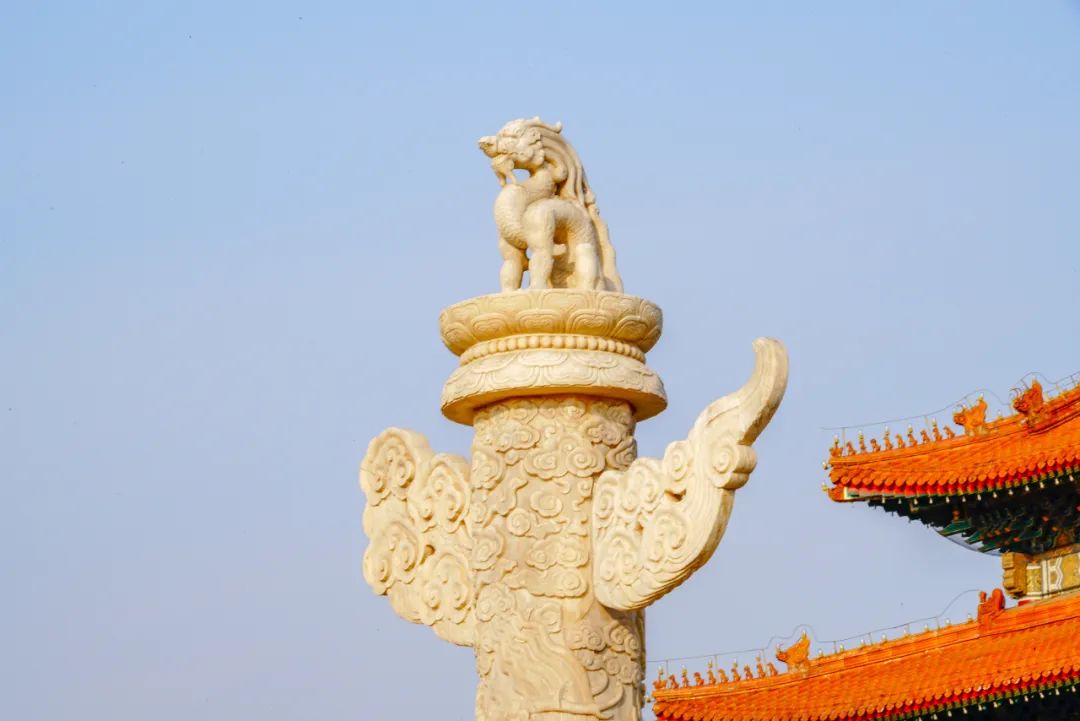 中国经济:化债、刺激与全球南方绿色发展计划